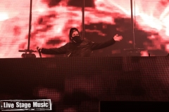 Lollapalooza2019_Alan-Walker_82