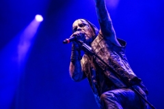 Summer-Breeze-20250815_Primordial-A4_02874