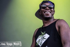 Sziget-Dizzee-Rascal85