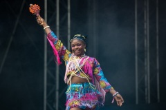 Way-Out-West-20250808_Seun-Kuti-And-Egypt-80-750_7358